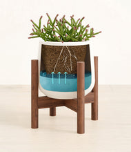 Load image into Gallery viewer, White stand:walnut
