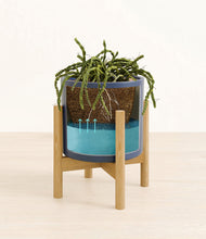 Load image into Gallery viewer, Deep Navy stand:bamboo
