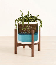 Load image into Gallery viewer, White stand:walnut
