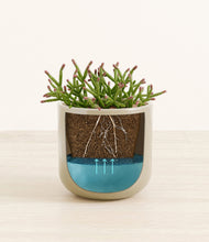 Load image into Gallery viewer, Sage Green
