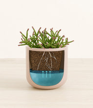 Load image into Gallery viewer, Sandy Pink
