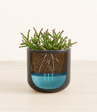 Load image into Gallery viewer, Stone Black
