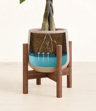 Load image into Gallery viewer, Eternal Gray stand:walnut
