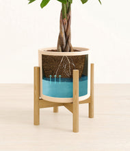 Load image into Gallery viewer, Cream stand:bamboo
