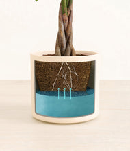 Load image into Gallery viewer, Cream
