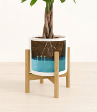 Load image into Gallery viewer, White stand:bamboo
