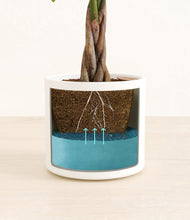 Load image into Gallery viewer, White
