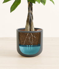 Load image into Gallery viewer, Iron Gray
