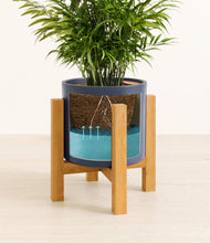 Load image into Gallery viewer, Deep Navy stand:light
