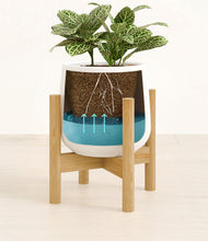 Load image into Gallery viewer, White stand:bamboo
