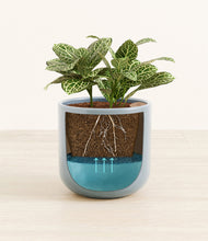 Load image into Gallery viewer, Misty Blue
