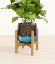 Load image into Gallery viewer, Deep Navy stand:bamboo
