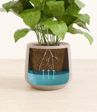 Load image into Gallery viewer, Eternal Gray
