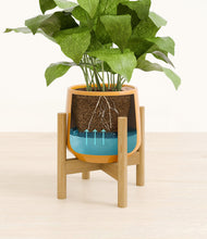 Load image into Gallery viewer, Mustard stand:bamboo
