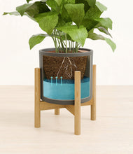 Load image into Gallery viewer, Dark Olive stand:bamboo
