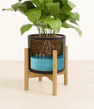 Load image into Gallery viewer, Black stand:bamboo
