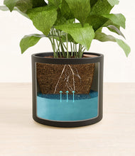 Load image into Gallery viewer, Black
