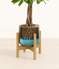 Load image into Gallery viewer, Olive stand:bamboo
