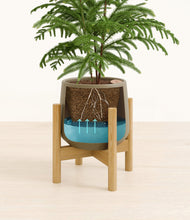 Load image into Gallery viewer, Olive stand:bamboo
