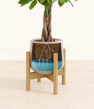 Load image into Gallery viewer, Eternal Gray stand:bamboo
