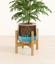 Load image into Gallery viewer, Eternal Gray stand:bamboo
