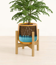 Load image into Gallery viewer, Mustard stand:bamboo
