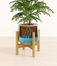 Load image into Gallery viewer, Calm Rose stand:bamboo
