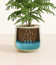 Load image into Gallery viewer, Turquoise
