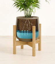 Load image into Gallery viewer, Olive stand:bamboo
