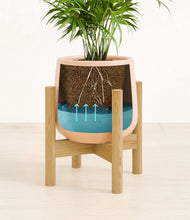 Load image into Gallery viewer, Gentle Pink stand:bamboo
