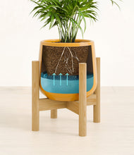 Load image into Gallery viewer, Mustard stand:bamboo
