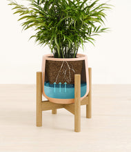 Load image into Gallery viewer, Gentle Pink stand:bamboo
