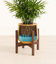 Load image into Gallery viewer, Mustard stand:walnut
