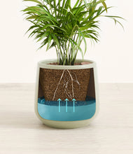 Load image into Gallery viewer, Turquoise
