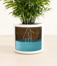 Load image into Gallery viewer, White
