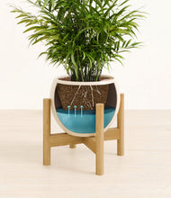 Load image into Gallery viewer, Shiny EggWhite stand:bamboo
