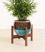 Load image into Gallery viewer, Calm Rose stand:walnut
