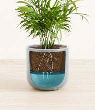 Load image into Gallery viewer, Misty Blue
