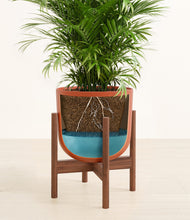 Load image into Gallery viewer, Earth Red stand:walnut
