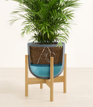 Load image into Gallery viewer, Iron Gray stand:bamboo

