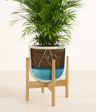 Load image into Gallery viewer, Natural Bamboo stand:bamboo
