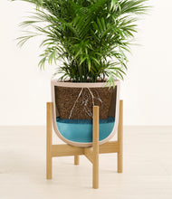 Load image into Gallery viewer, Sandy Pink stand:bamboo

