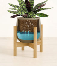 Load image into Gallery viewer, Olive stand:bamboo
