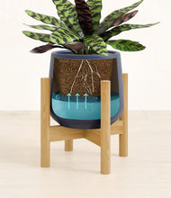 Load image into Gallery viewer, Deep Navy stand:bamboo
