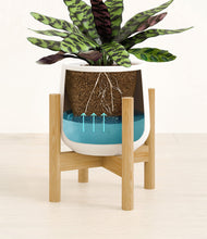 Load image into Gallery viewer, White stand:bamboo
