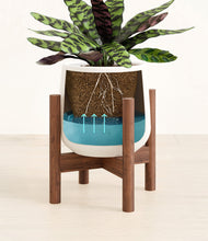 Load image into Gallery viewer, White stand:walnut
