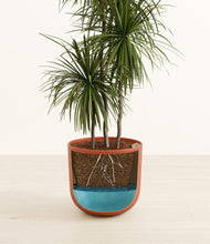 Load image into Gallery viewer, Earth Red
