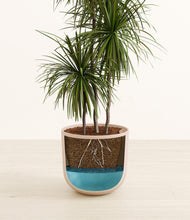 Load image into Gallery viewer, Sandy Pink
