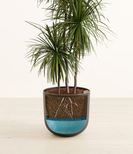 Load image into Gallery viewer, Stone Black
