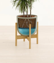 Load image into Gallery viewer, Sage Green stand:bamboo

